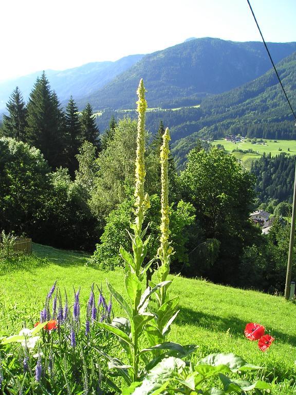 Hotel Alpenhof Strenge